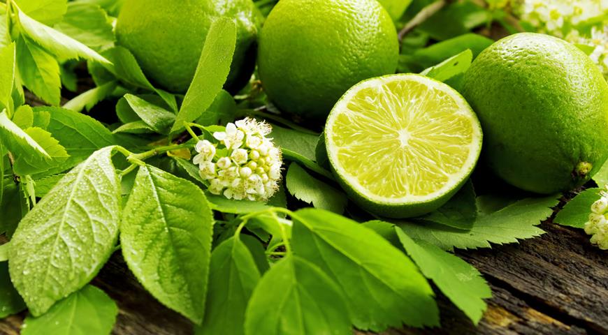 Jak limonka poprawia trawienie: stymulacja soków żołądkowych
